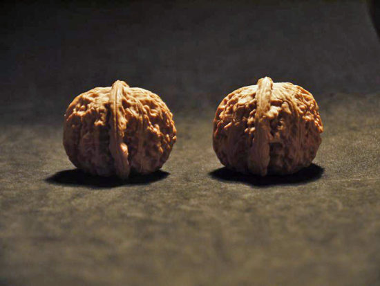 Pair of Matched Chinese Collection Walnuts (White Lion Wide) 45x35mm il_794xN.1599214011_76wj