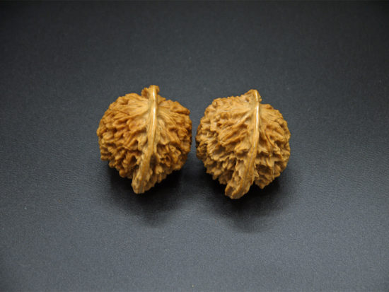Pair of Matched Walnuts P1100289