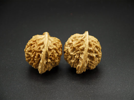 Pair of Matched Walnuts P1100290