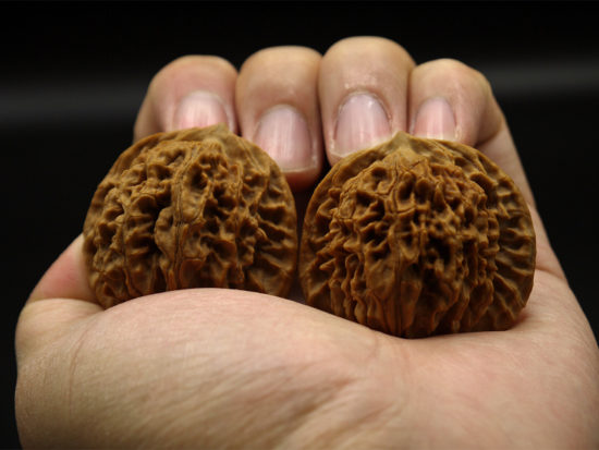 Pair of Matched Walnuts P1100293