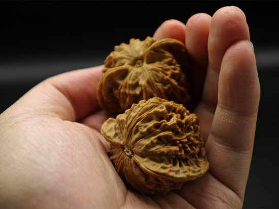 Pair of Matched Walnuts P1100293P1100295