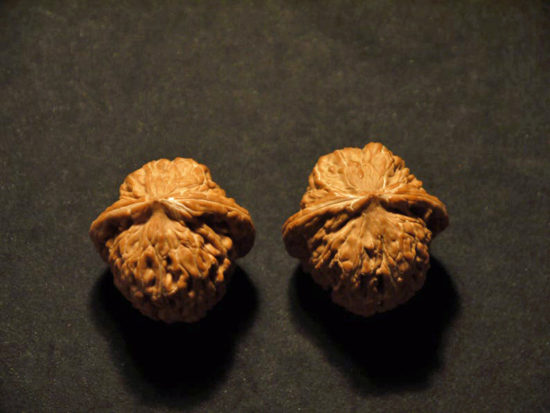 Walnuts Matched Pair Chinese Collection il_794xN.1425741466_fbbh