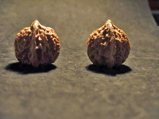 Walnuts, Matched Pair, (Dragon Egg) 37mm x 36mm 1415987412