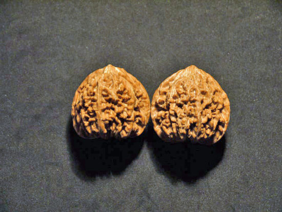 Walnuts, Matched Pair, (Dragon Egg) 37mm x 36mm 1463253169