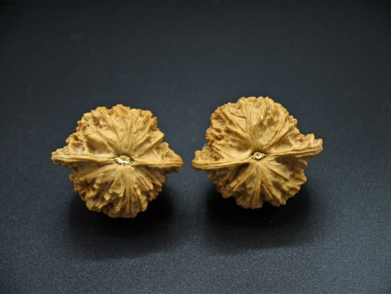 Walnuts, Pair, Chinese Walnut Collection (Dragon Imprint) 2019-07-12T150230