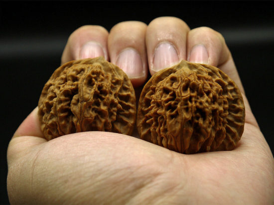 Walnuts, Pair, Chinese Walnut Collection (Dragon Imprint) 2019-07-12T150235