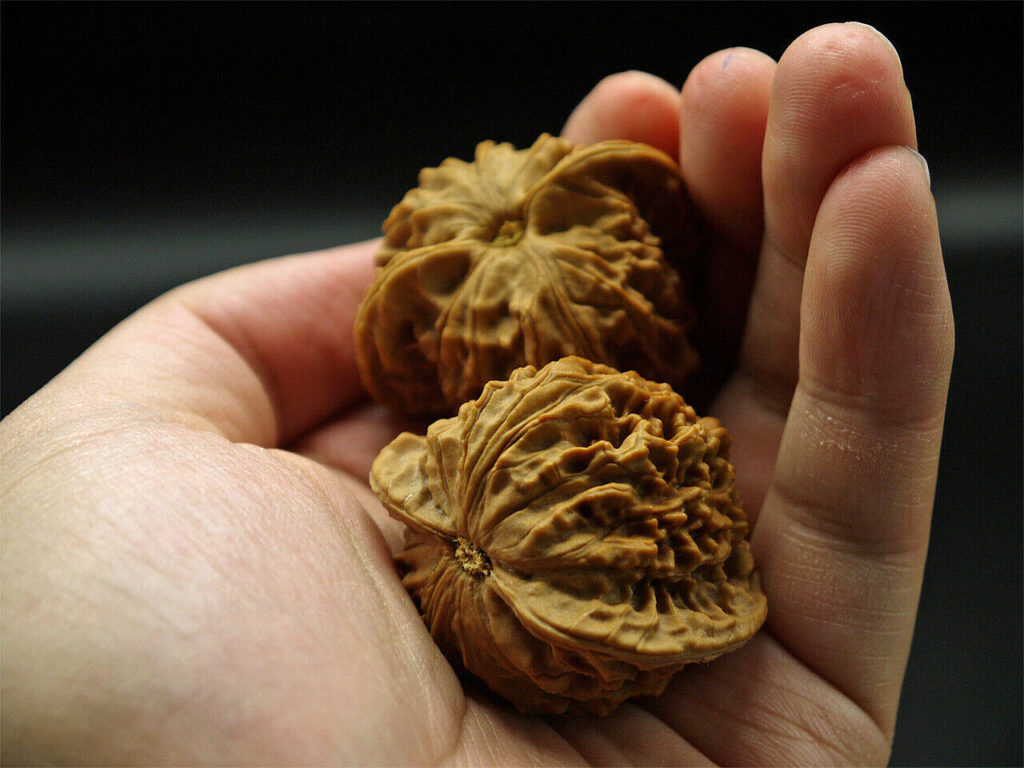 Walnuts, Pair, Chinese Walnut Collection (Dragon Imprint) 2019-07-12T150239
