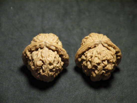 Walnuts, Matched, Chinese Collection Fine (White Lion) 03T163137