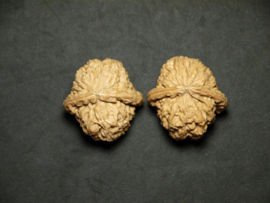 Walnuts, Matched, Chinese Collection Fine (White Lion) 03T163141