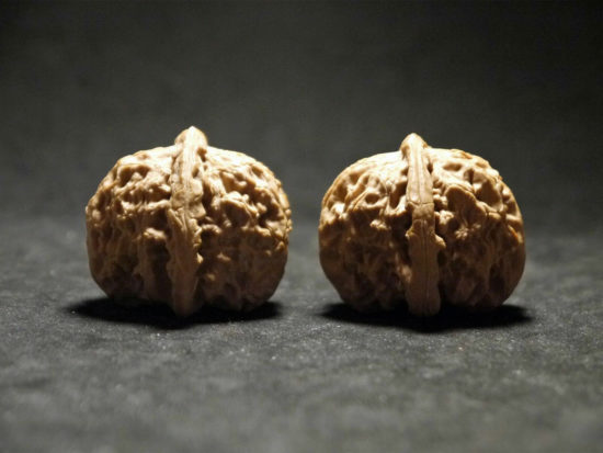 Walnuts, Matched, Chinese Collection Fine (White Lion) 03T163146