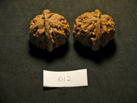 Walnuts, Matched Pair Tall, Chinese Collection, White Lion 2019-07-06T204549