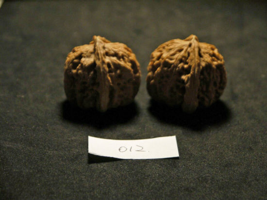 Walnuts, Matched Pair Tall, Chinese Collection, White Lion 2019-07-06T204559