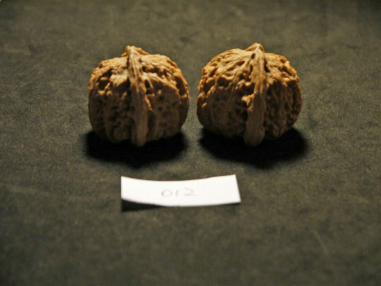 Walnuts, Matched Pair Tall, Chinese Collection, White Lion 2019-07-06T204605