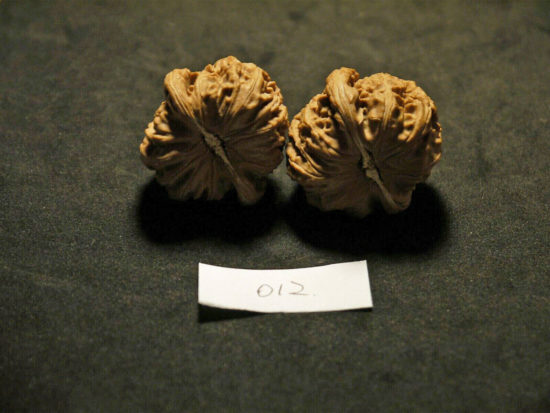 Walnuts, Matched Pair Tall, Chinese Collection, White Lion 2019-07-06T204611