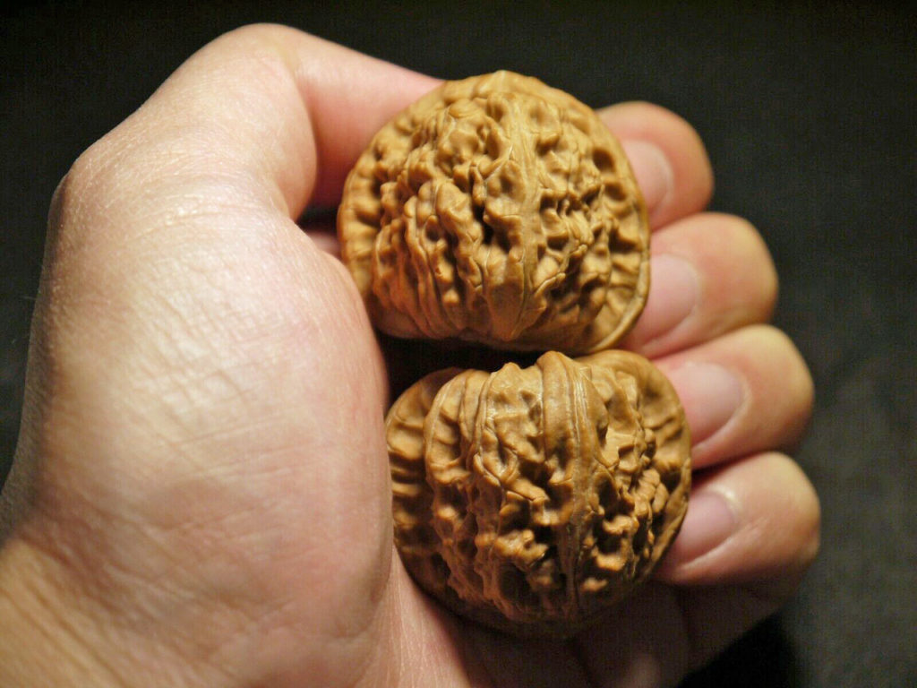 Walnuts, Matched Pair, White Lion 40x36mm 2019-07-09T153322
