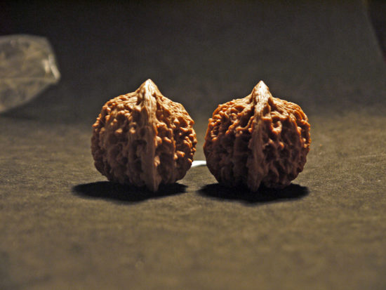 Walnuts, Matched Pair, (Dragon Egg) 36mm x 38mm 1552013886