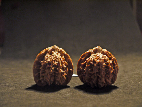 Walnuts, Matched Pair, (Dragon Egg) 36mm x 38mm 1552013932