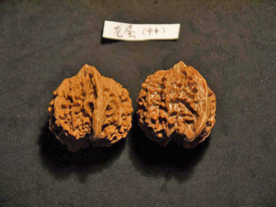 Walnuts, Matched Pair, (Dragon Egg) 36mm x 38mm 1599468643