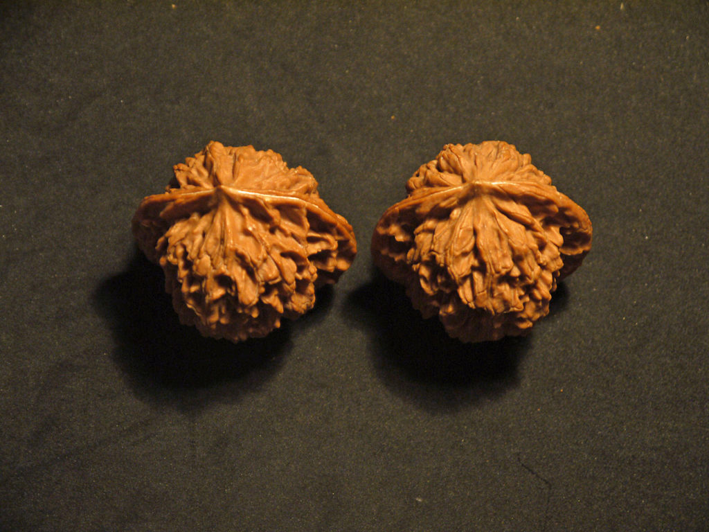 Walnuts, Matched Pair, X-Large, (Dragon Imprint) 43mm x 42mm 1577078052