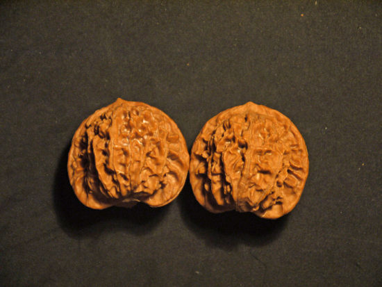 Walnuts, Matched Pair, X-Large, (Dragon Imprint) 43mm x 42mm 1577078258