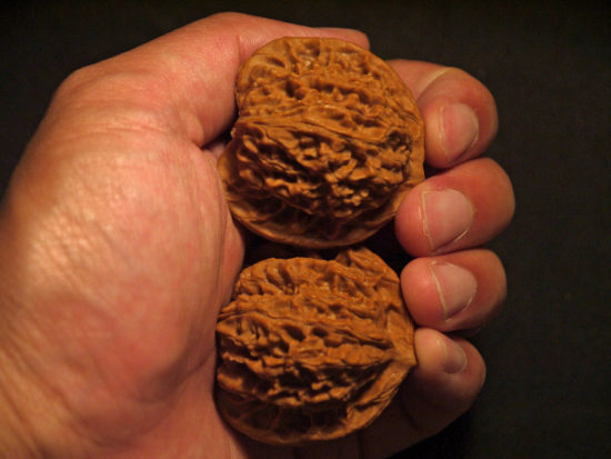 Walnuts, Matched Pair, X-Large, (Dragon Imprint) 43mm x 42mm 1624524199