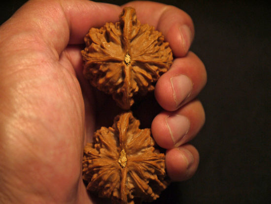 Walnuts, Matched Pair, X-Large, (Dragon Imprint) 43mm x 42mm 1624524285
