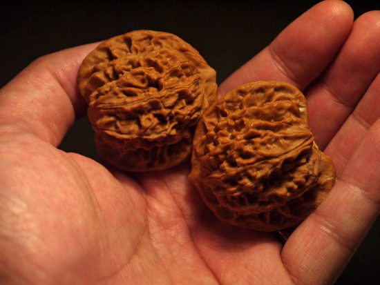 Walnuts, Matched Pair, X-Large, (Dragon Imprint) 43mm x 42mm 1624524437
