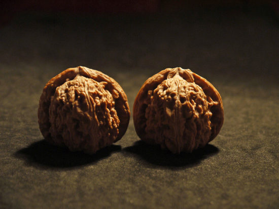 Walnuts, Matched Pair, X-Large, (White Lion) 45mm x 39mm 1577071404