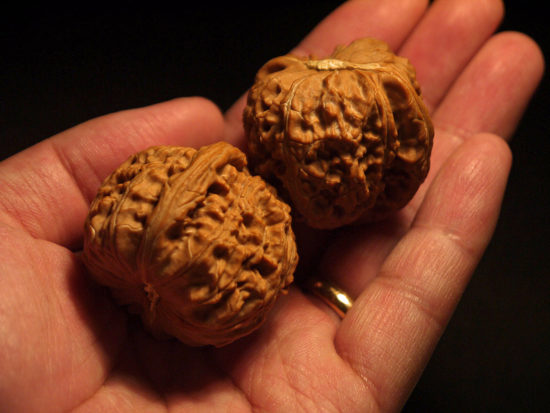 Walnuts, Matched Pair, X-Large, (White Lion) 45mm x 39mm 1577071798