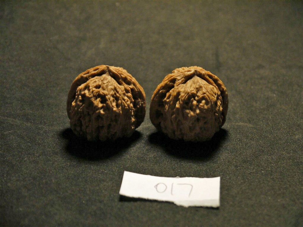Walnuts, (White Lion), Matched Pair, Chinese Collection 2019-07-09T195926