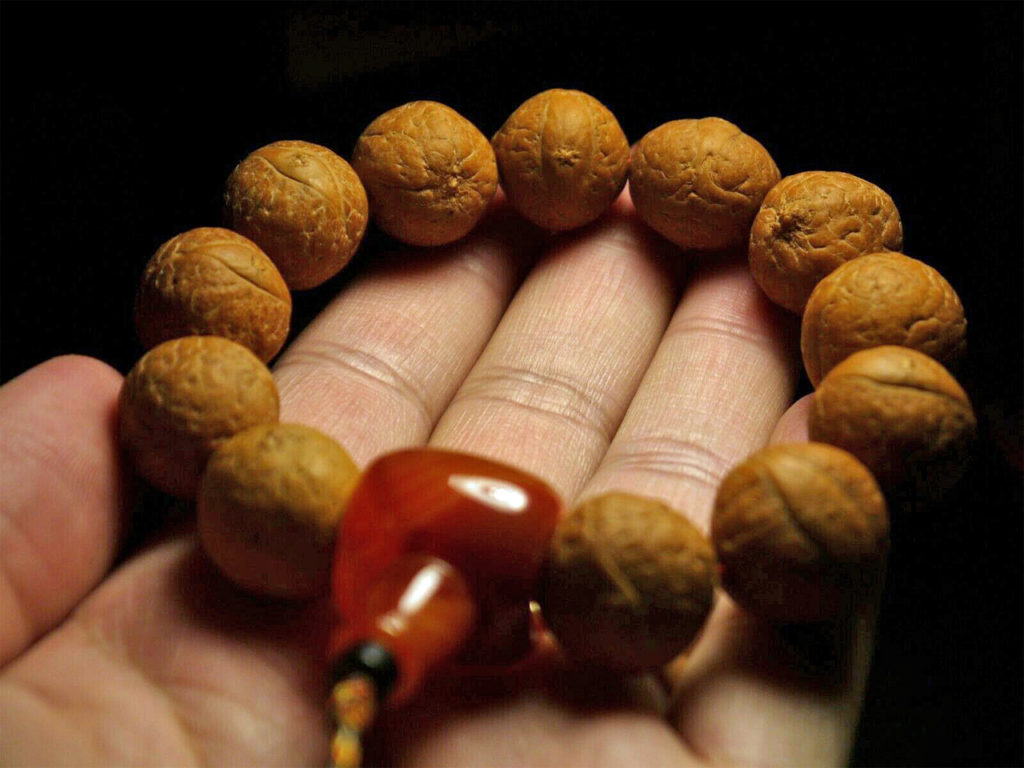 Wrist Mala, X-Large High Quality Phoenix Eye Bodhi Seed, Red Agate 03T161138