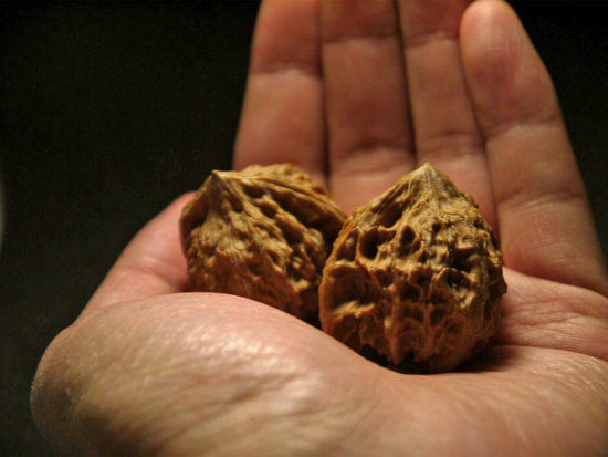 Walnuts, Matched, Chinese Collection, Fine/Petite (Dragon Egg) 2019-08-16T132127