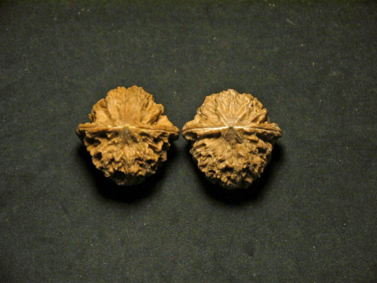 Walnuts, Matched, Chinese Collection, Fine/Petite (Dragon Egg) 2019-08-16T135349