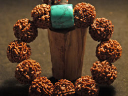 Wrist Mala Rudraksha Blue Turquoise 22mm p1060227