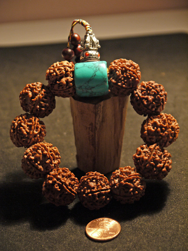 Wrist Mala Rudraksha Blue Turquoise 22mm p1060227