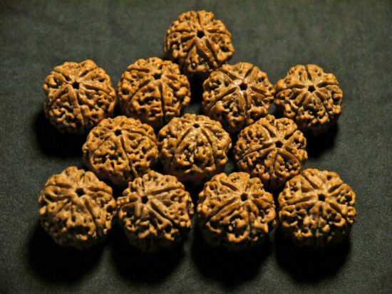 five face rudraksha beads s-11600-(80)