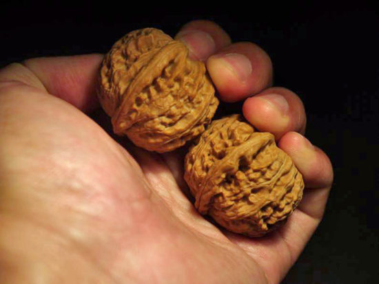 Pair of Matched Chinese Collection Walnuts (White Lion Wide) 45x35mm il_794xN.1551758708_j408
