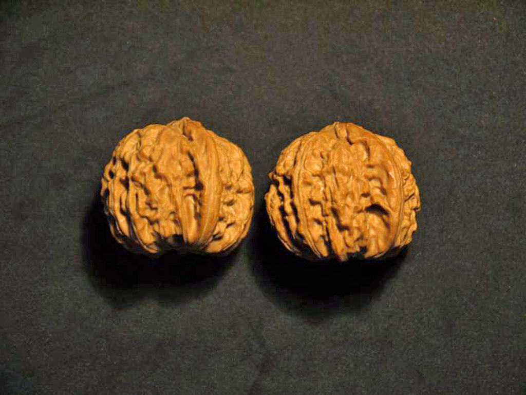 Pair of Matched Chinese Collection Walnuts White Lion Fine il_794xN.1599473113_fjwf