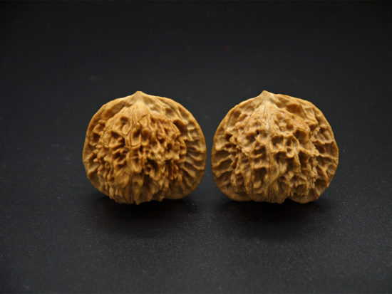 Pair of Matched Walnuts P1100288