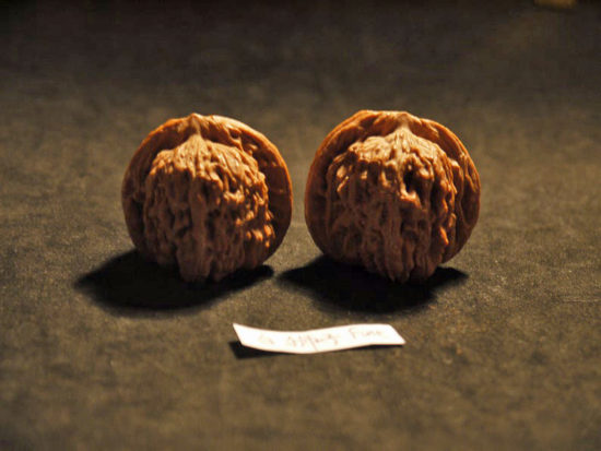 Walnuts, Chinese Collection, Matched Pair il_794xN.1548021190_kawx