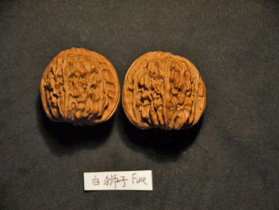 Walnuts, Chinese Collection, Matched Pair il_794xN.1595477927_q0x9