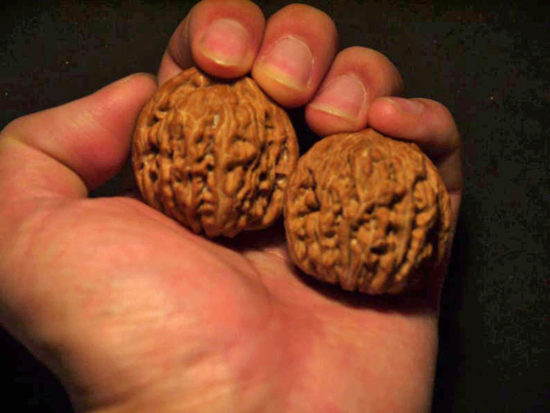 Walnuts Matched Pair Chinese Collection il_794xN.1425741452_on4g