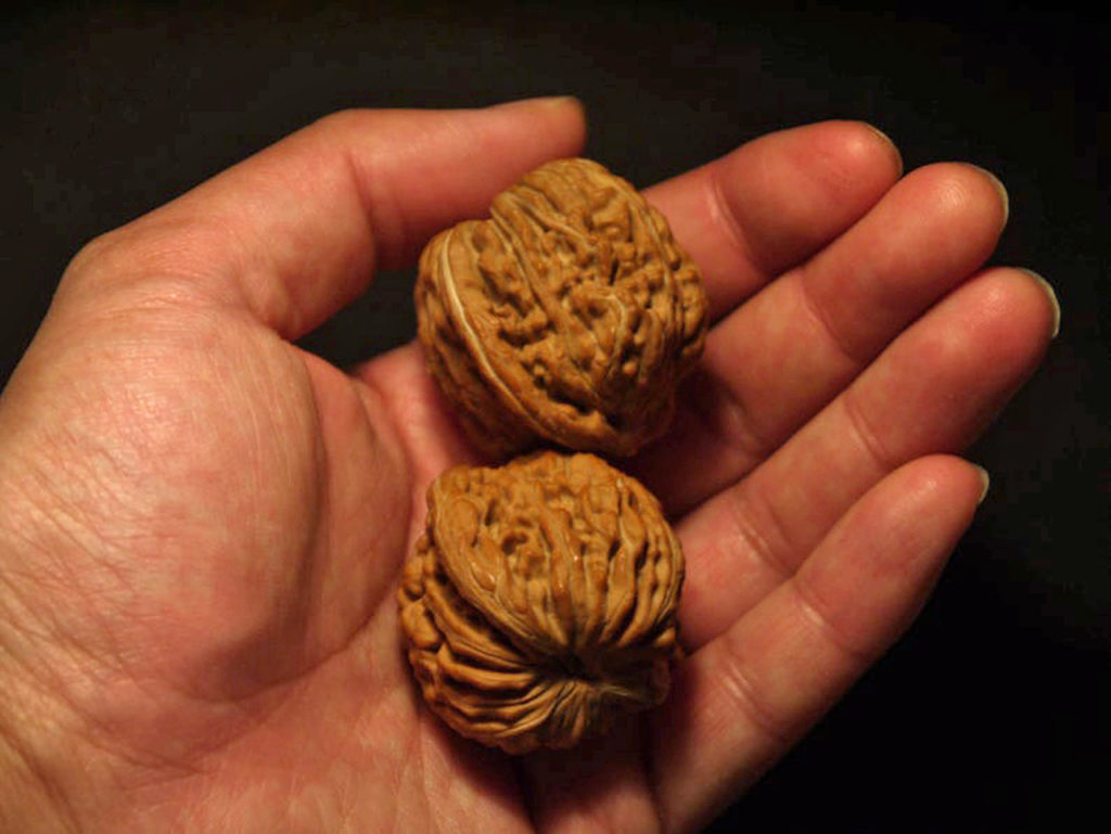 Walnuts Matched Pair Chinese Collection il_794xN.1425741462_8emg