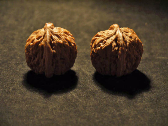 Walnuts Matched Pair Chinese Collection il_794xN.1472999685_mb43