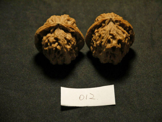Walnuts, Matched Pair Tall, Chinese Collection, White Lion 2019-07-06T204538