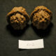 Walnuts, Matched Pair Tall, Chinese Collection, White Lion 2019-07-06T204538