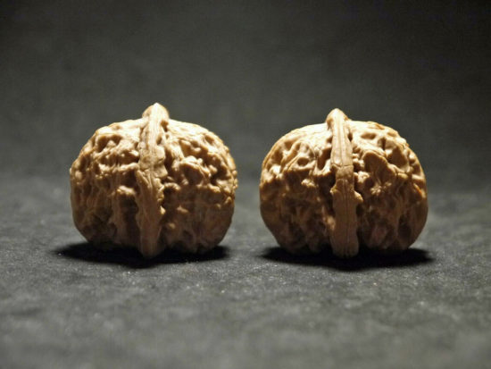 Walnuts, Matched Pair, White Lion 40x36mm 2019-07-09T153229