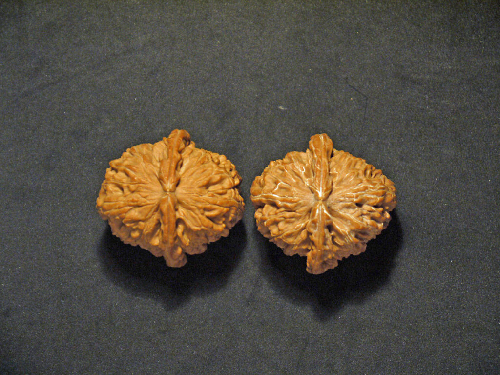 Walnuts, Pair, Chinese Collection X-Large 44mm x 41mm 1570603238