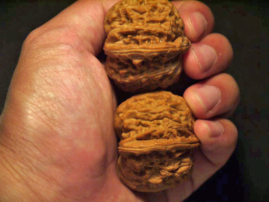 Walnuts, Pair, Chinese Collection X-Large 44mm x 41mm 1618059423