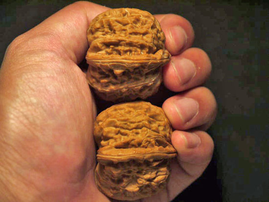 Walnuts, Pair, Chinese Collection X-Large 44mm x 41mm 1618059485